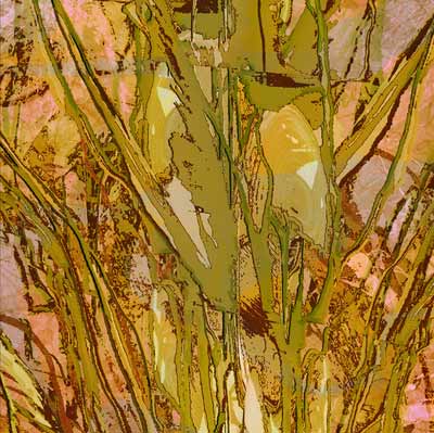Part of the Fern Series by Kristin Doner