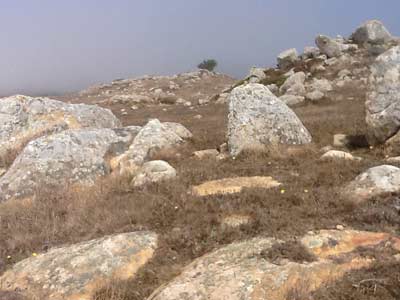Field of boulders in fog at Fort Ross, California