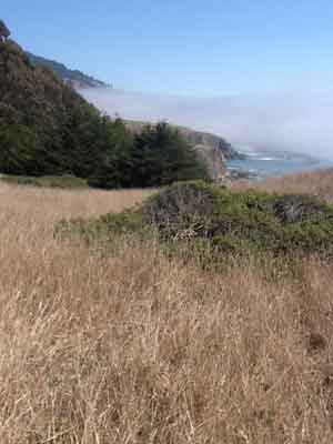 Fort Ross, CA, field above cliffs, ocean with fog in distance.